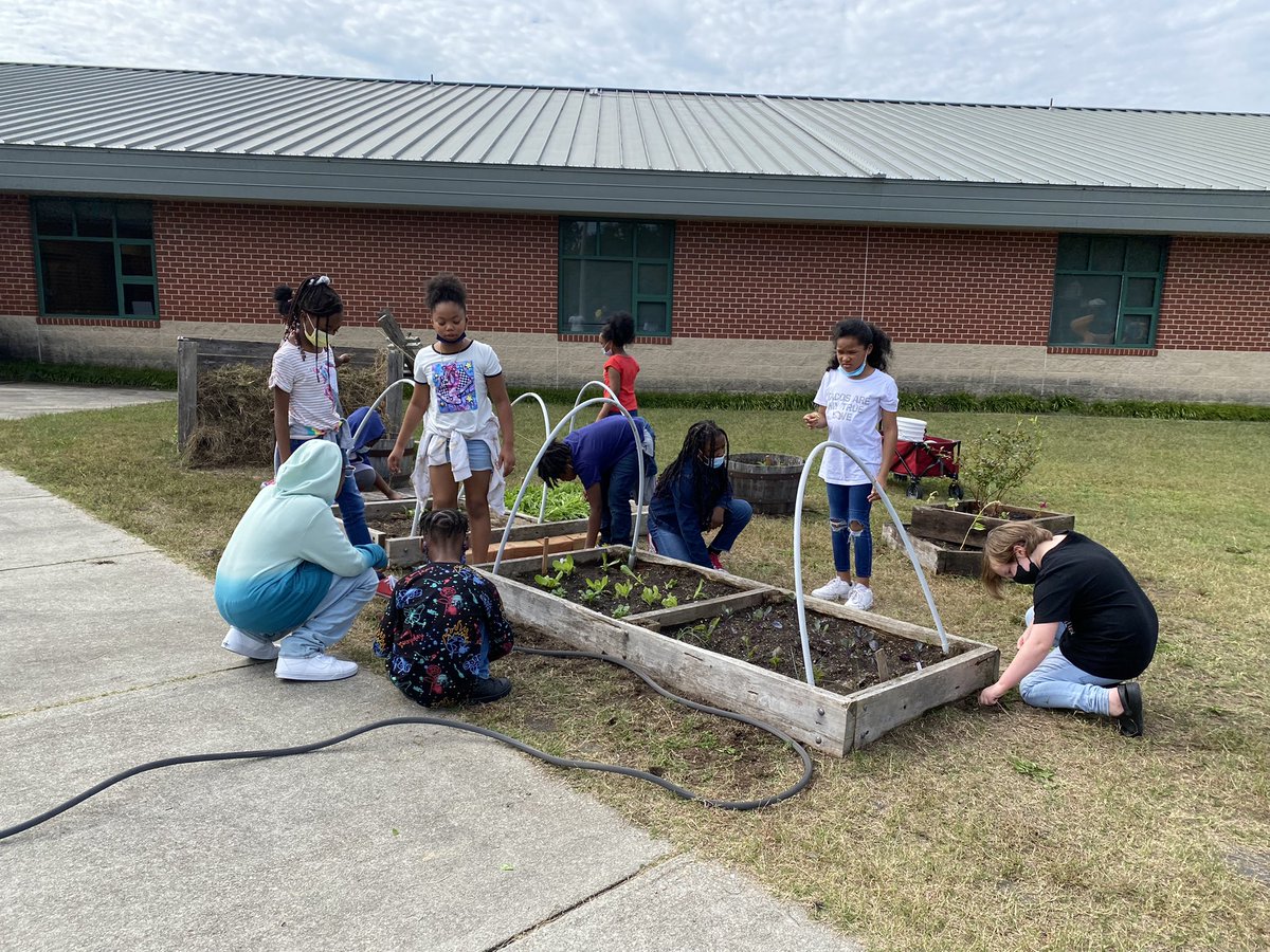 Mrs_Copenhaver's tweet photo. Transplanting at the learning garden 🌿🌱🍃 https://t.co/MOymSkSxVU