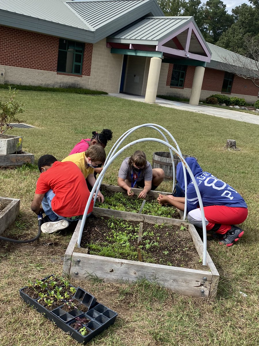 Mrs_Copenhaver's tweet photo. Transplanting at the learning garden 🌿🌱🍃 https://t.co/MOymSkSxVU