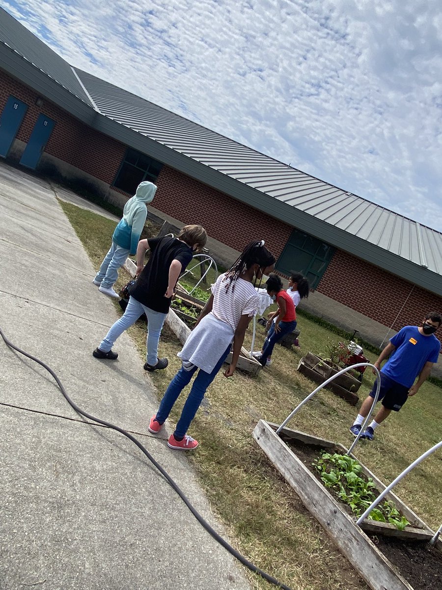 Mrs_Copenhaver's tweet photo. Transplanting at the learning garden 🌿🌱🍃 https://t.co/MOymSkSxVU