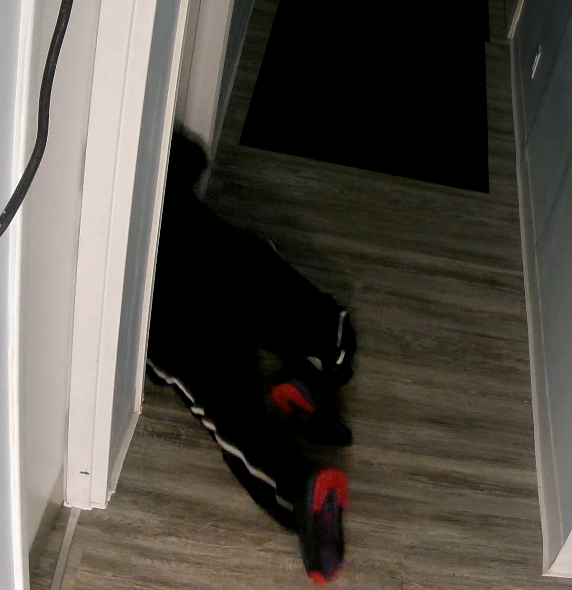 OPP_WR's tweet photo. #MiddlesexOPP investigating a B&amp;E to a business on King St. in @ILoveThrondale on Oct 16th. An u/k male smashed the front door and stole various items. If you recognize this individual or have any info please contact us at 1-888-310-1122 or @crimestoppersldn at 1-800-222-8477 ^jh https://t.co/33PIfpUGXH