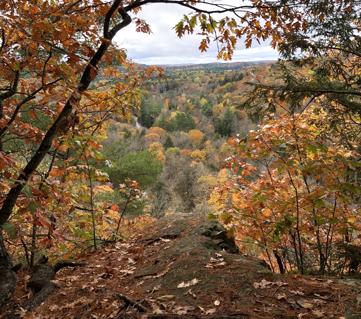 Great start to the week on the #crestsofkennisis trail! Thank you <a href="/ahtrails/">AH Park Rec & Trails</a> for this gem! #myhaliburtonhighlands #comewander #haliburtonlife <a href="/TourismTrails/">Trails Tourism Ontario</a> <a href="/HikeOntario/">Hike Ontario</a> <a href="/HikeHaliburton/">Hike Haliburton</a>  <a href="/AHtownship/">Township of Algonquin Highlands</a>