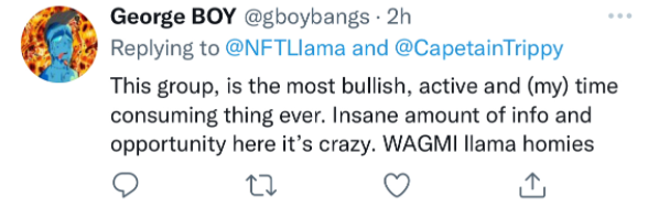 LlamasSuccess's tweet photo. We appreciate the kind words❤️ 

We are going to be the best exclusive group of 2022 👀

More info here: https://t.co/kzRggnF1CR https://t.co/OWbpsm7gap