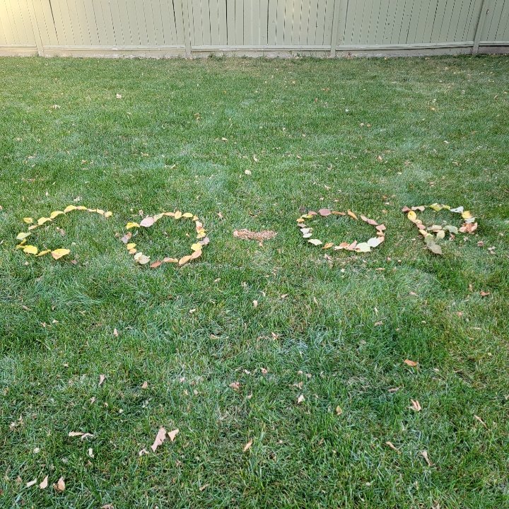 ManitobaCoop's tweet photo. We have been getting some great submissions in the #LocalCoopLove Scavenger Hunt! Have you joined the fun for your chance to win a prize? It's not too late!  Thanks to our game sponsors @ArcticCoopLtd, @The_Cooperators and Westboine Park Housing Co-op.
#CoopWeek2021 https://t.co/jXQgodH0My