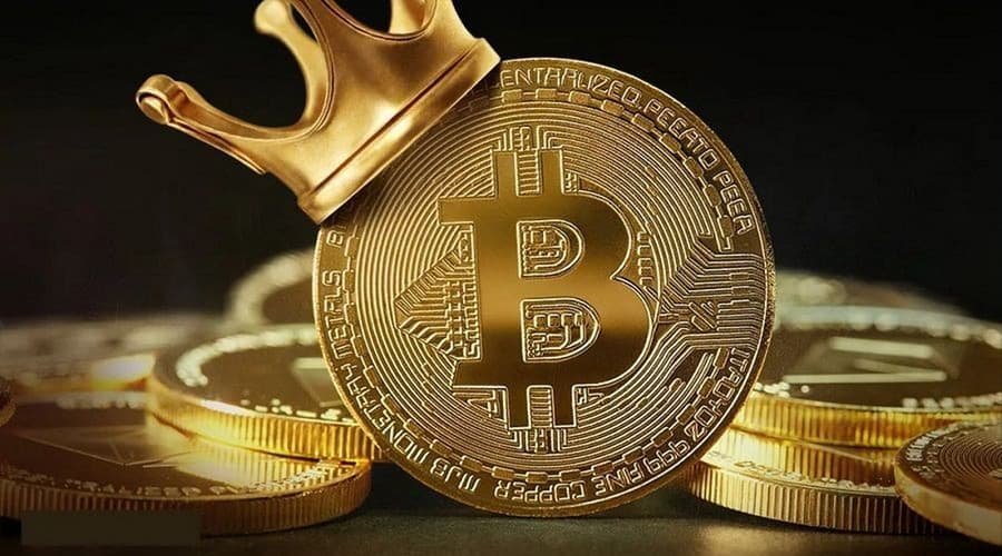 DCryptostar's tweet photo. Number Of Bitcoin Whales On The Rise As BTC Chases New All-Time High https://t.co/zW3rJzaCMK via @DCryptostar #cryptocurrency #cryptoupdates https://t.co/NuKCVtJYUy