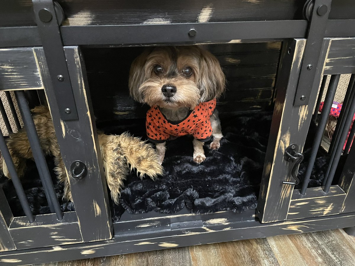 Happy Monday Friends! 🎃