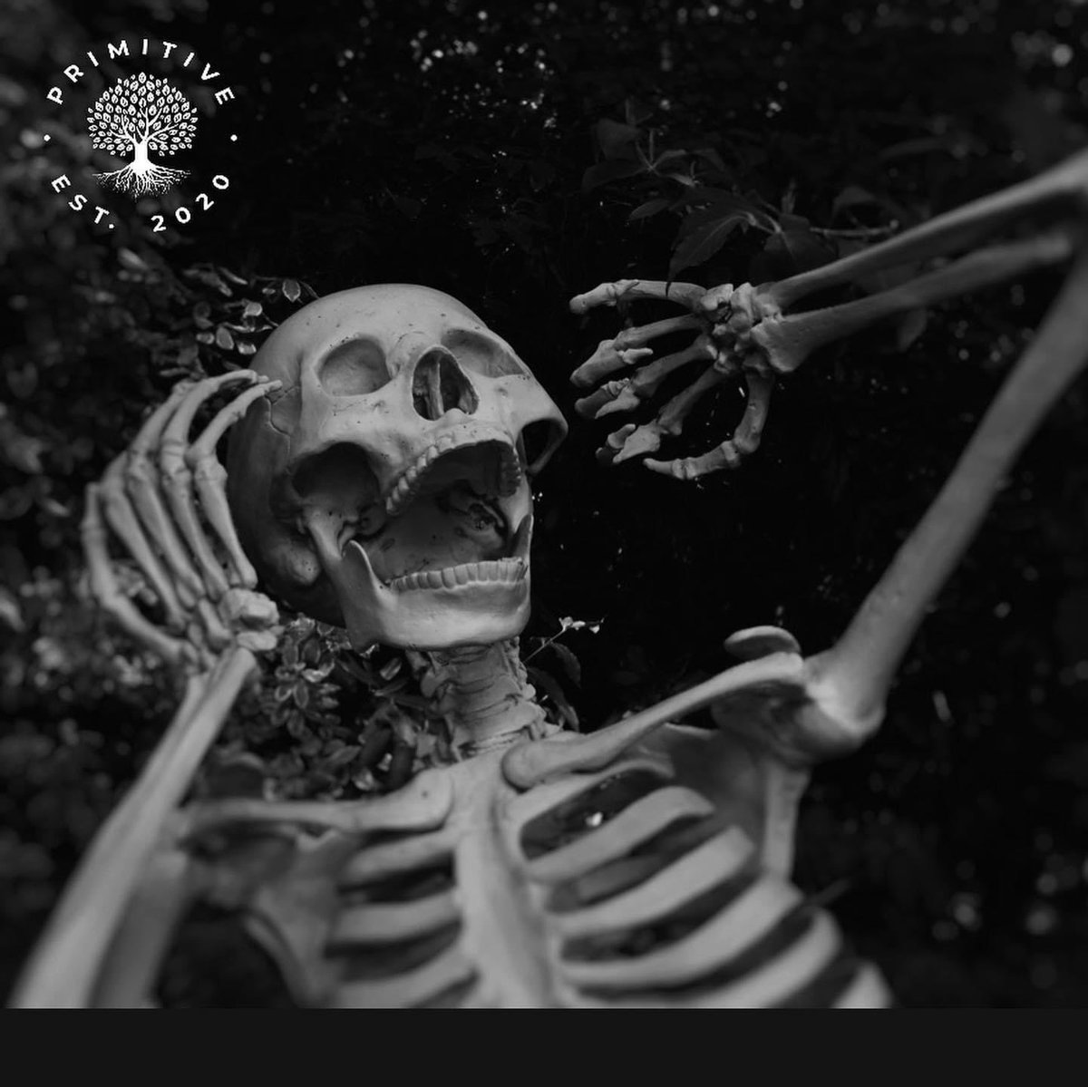 WearPrimitive's tweet image. So what’s waking the skeletons up this early?! 💀🧐

It’s this right HERE! 20 percent off all clothing products using the code HALLOW20 at checkout!

Grab your hoodies and joggers FAST! Before they sell out! 🔘

Link in bio… 🔗

#primitive #primitivewear #clothing #fashion #OOTT