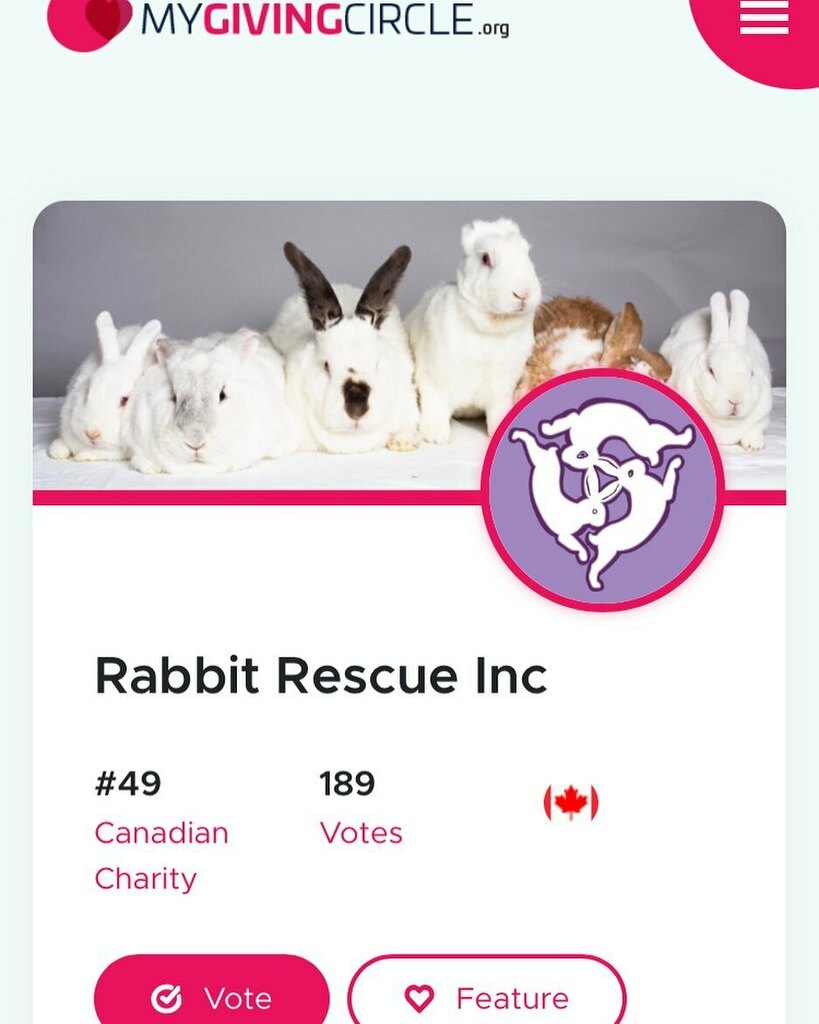 Have you voted for RR this week? 
Its easy fast &amp; free! Use the link in our bio! We have over 16k followers on instagram alone but only 189 votes. Help save the bunnies with only 1 minute of your time. You can vote weekly &amp; I will post reminders! Thank y… instagr.am/p/CVLiLW3FOwr/