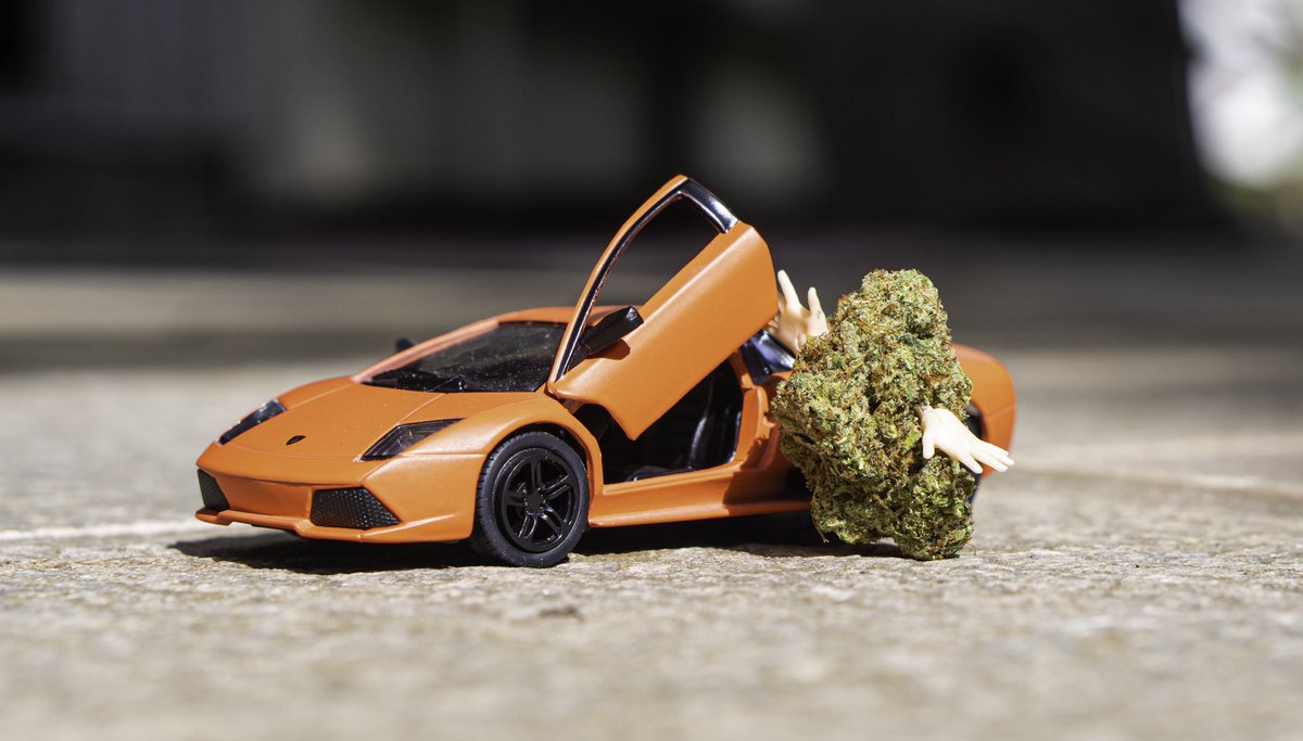 DonnyGoines's tweet photo. โPimp my Highโฆโ ๐๐จ๐คฃ
#cannabis #smokelikecypressshill #nft #digitalart #artwork #photography #photographer #stoner #creative #cannabis #love #smoker #imjustdonny #highmerica #lamborghini #bigisland #fourtwnty #stonergirl #modern #cars https://t.co/Do115ZHBgL