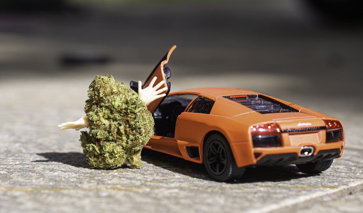 DonnyGoines's tweet photo. โPimp my Highโฆโ ๐๐จ๐คฃ
#cannabis #smokelikecypressshill #nft #digitalart #artwork #photography #photographer #stoner #creative #cannabis #love #smoker #imjustdonny #highmerica #lamborghini #bigisland #fourtwnty #stonergirl #modern #cars https://t.co/Do115ZHBgL