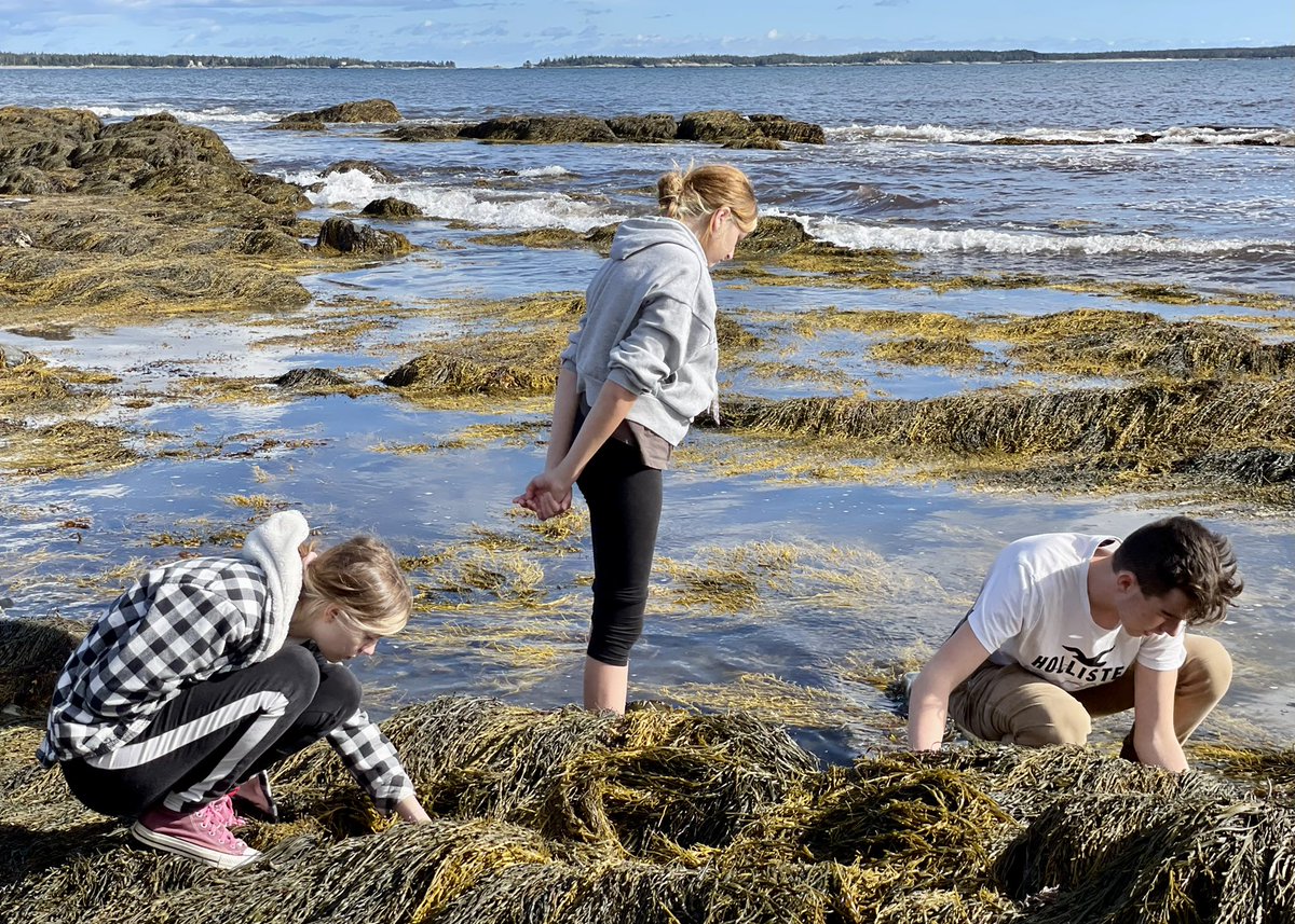 Geoff Marshall tweet media