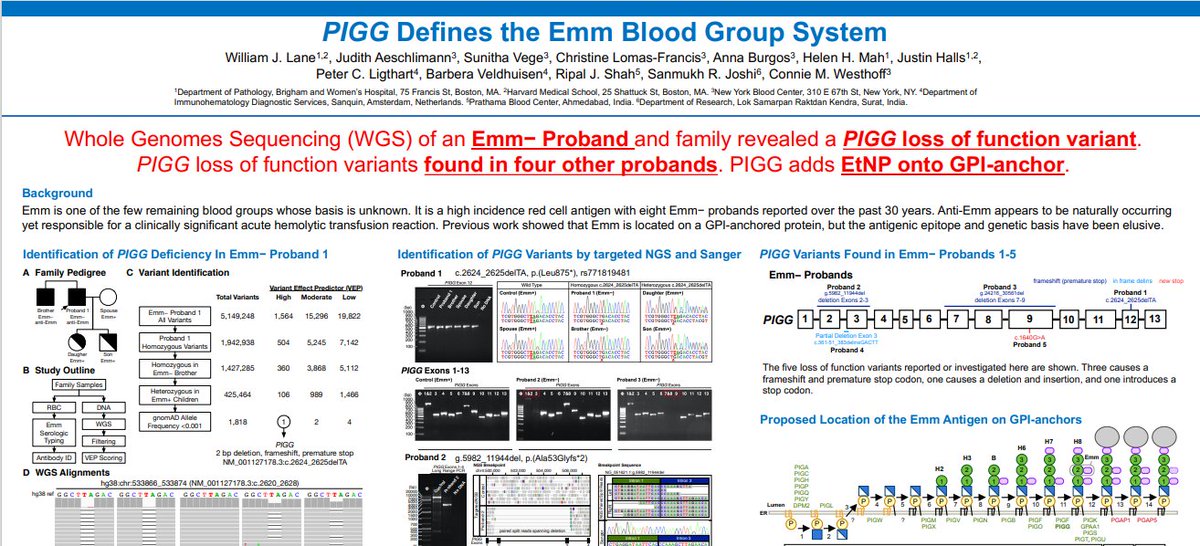 Daniela Hermelin, MD (@hermelinmd) on Twitter photo 𝐏𝐨𝐬𝐭𝐞𝐫 #5
(P-IG-4) PIGG Defines the Emm Blood Group System with <a href="/BrighamWomens/">Brigham and Women's Hospital</a> <a href="/bloodantigens/">William Lane, MD, PhD</a>
https://www@bloodantigens.aabb.org/docs/default-source/default-document-library/annual-meeting/posters/p-ig-4-pigg-defines-the-emm-blood-group-system.pdf?sfvrsn=61472f2c_4 𝐏𝐨𝐬𝐭𝐞𝐫 #5
(P-IG-4) PIGG Defines the Emm Blood Group System with <a href="/BrighamWomens/">Brigham and Women's Hospital</a> <a href="/bloodantigens/">William Lane, MD, PhD</a>
https://www@bloodantigens.aabb.org/docs/default-source/default-document-library/annual-meeting/posters/p-ig-4-pigg-defines-the-emm-blood-group-system.pdf?sfvrsn=61472f2c_4