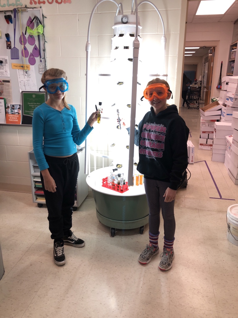 AScottFlynn's tweet image. 7️⃣th 👩‍🔬👨‍🔬 grade #science ⚗️ @working ✍️ with #elodea plant 🌱 counting 🧮 the number of bubbles produced and color change with Bromo Blue via photosynthesis. #7Science #2021 #thebetterMrFlynn #classof2027 Go #BlairBears