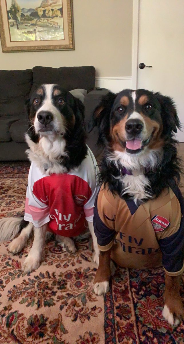 larsonhanlin's tweet photo. Come on you gunners!!!! @Arsenal vs. @CPFC @premierleague https://t.co/9o0llHTh3b