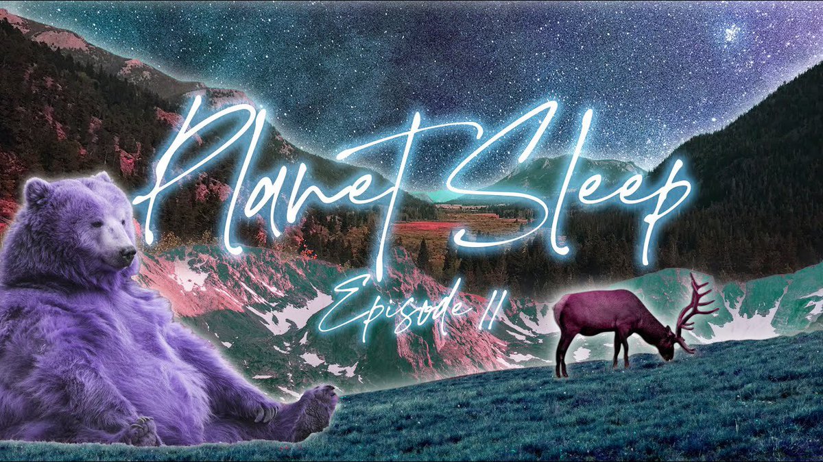 planetsleepcast's tweet photo. Check out our latest episode on YouTube! Rocky Mountain National Park Relaxing Sleep Story Soothing Music &amp; Natur... https://t.co/9YLjO3nEKD via @YouTube https://t.co/y7gT5Zw0NE