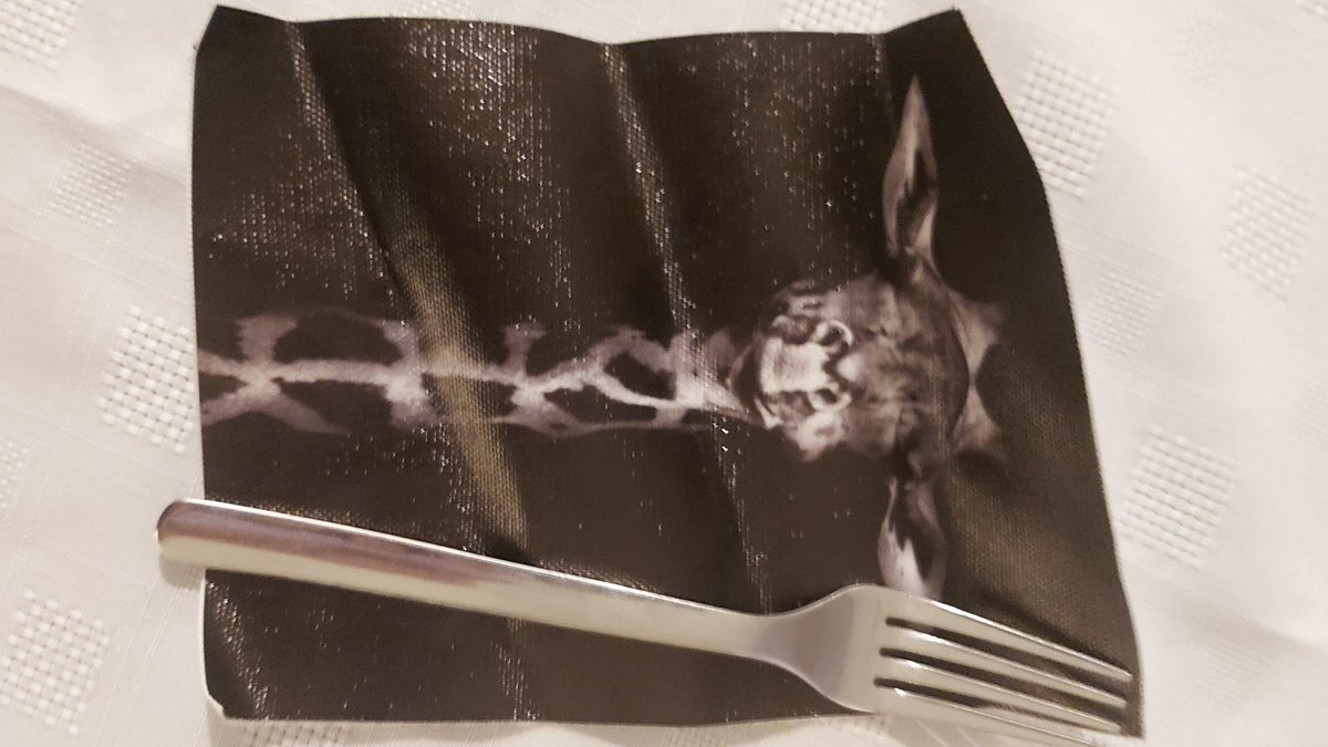 haniasfour tweet media