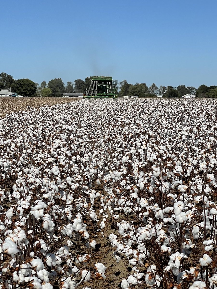 Nick Crouch tweet media