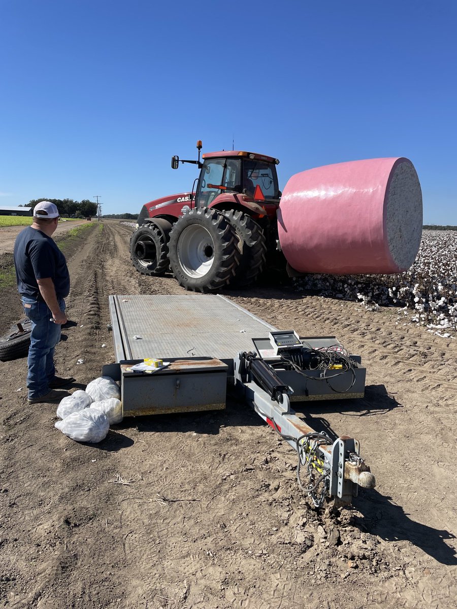 Nick Crouch tweet media