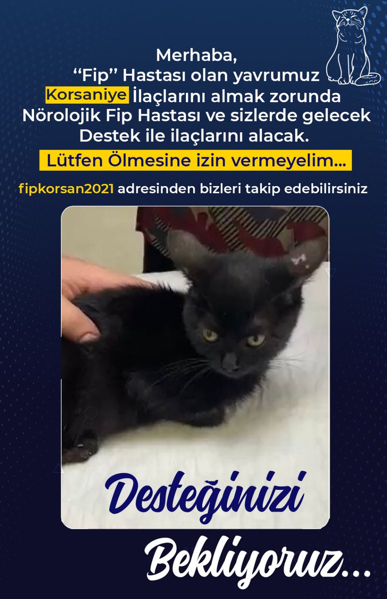 Mestinaz's tweet photo. Terapi veteriner kliniginde
Korsan engelli bir cocigumuxun baktigi 3 aylik kedimiz
Arka ayaklari tutmayinca klinige  aldiik..
Tetkikler sonucu norolojik FIP teshisi koyuldu
Sansi var kg az oldugu icin bir sise ilac 1 hafta kullaniliyor
ILAC ICIN DESTEGE IHTIYACIMIZ VAR https://t.co/vsNuflTIoL