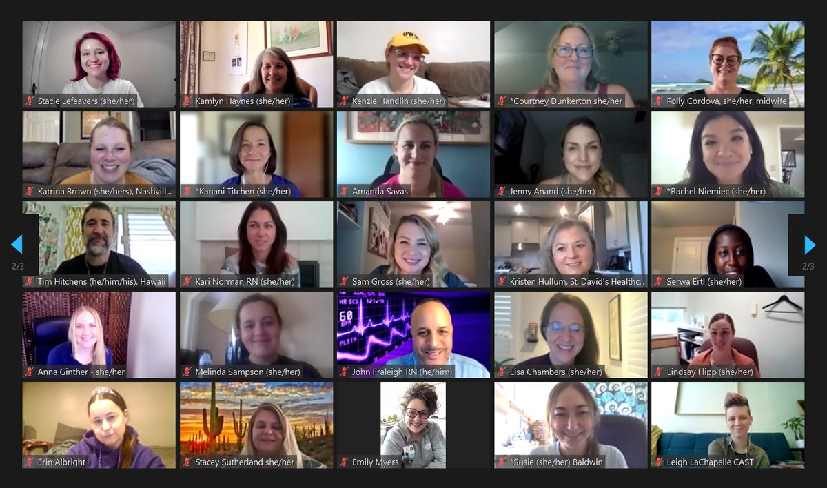 HEALTrafficking's tweet photo. What an incredible past two days it has been at the just concluded HEAL's international Train the Trainer Academy. Lots of virtual learning, knowledge sharing and networking with health care educators on the front line of defense against #humantrafficking. https://t.co/gSemLl7tH2