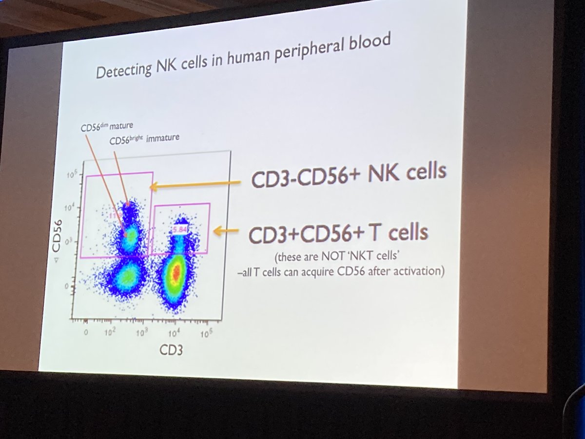 Not all NK cells are the same!  For more, check out the ICCS plenary session 1 recording to hear from NK cell expert Lewis Lanier.  #FlowICCS21  Recordings available to registrants 10/18-11/12.  Though live events are over, you can still register to view recordings.
