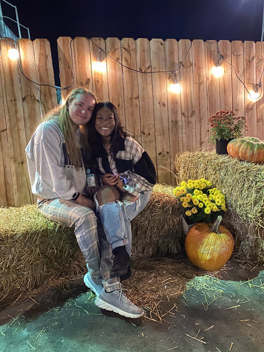 Lowes Hamilton tweet media