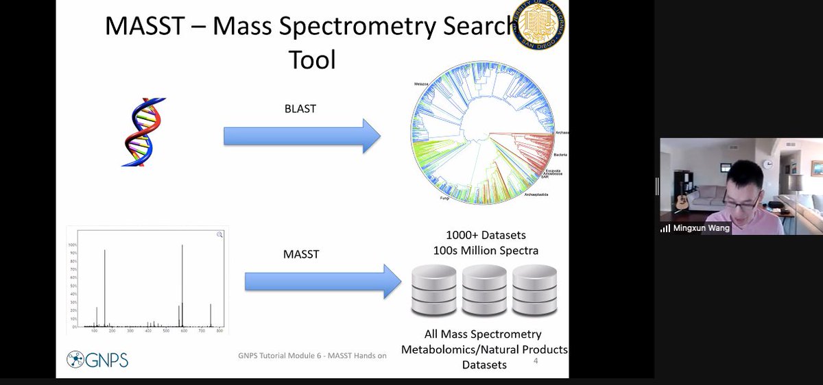 MichaelTom8o's tweet image. Getting a crash (collision??) course in MS/MS spectra database mining using @GNPS_UCSD #MANA2021
 @mingxunwang  @Pdorrestein1