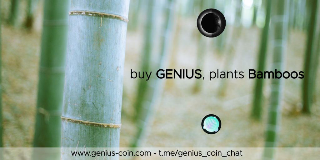 🎋 Invest in something Good 

$BMBO is the first project in reward to the GENIUS platform 👌

<a href="/safepandatoken/">Anji | SafePanda & Bamboo</a> 

#staking #bamboo  #Anjigems #WeAreGenius #BSC  #Binance #BSCGems