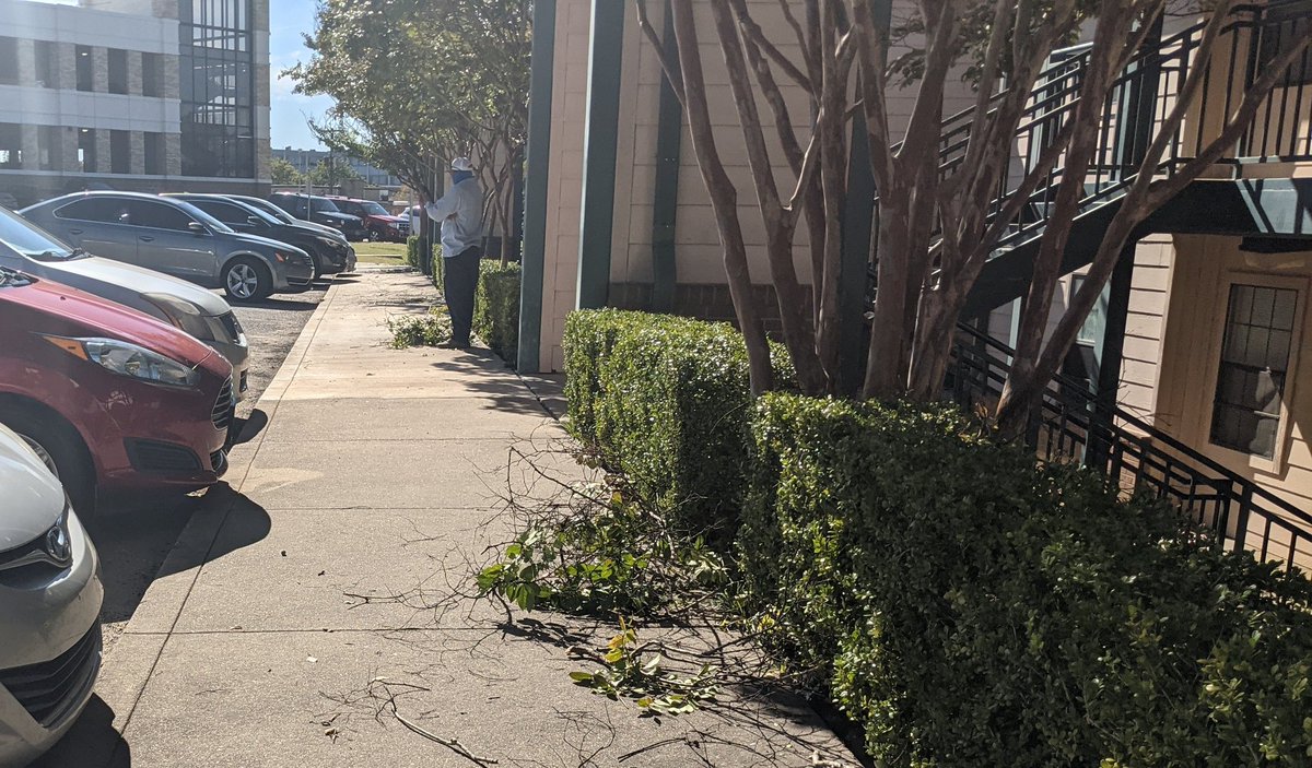 courtedwards__'s tweet photo. Tree trimming and yard work is now happening in front of Collegiate Park Building 2. Watch out for fallen branches on the side walk. @ASUTVnews #ASUTVNews https://t.co/J7nDncU7DJ