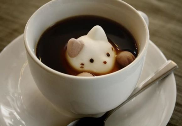 CharlotteKaye's tweet photo. Cat latte appreciation post https://t.co/IgMsDTPWwc