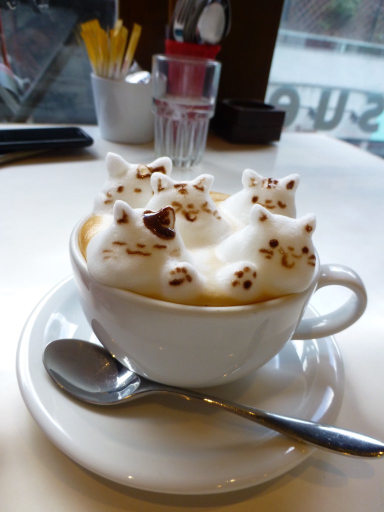 CharlotteKaye's tweet photo. Cat latte appreciation post https://t.co/IgMsDTPWwc