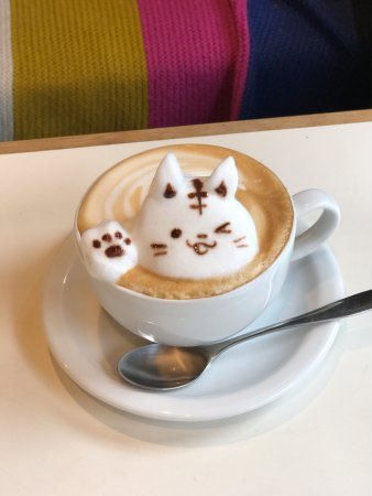 CharlotteKaye's tweet photo. Cat latte appreciation post https://t.co/IgMsDTPWwc