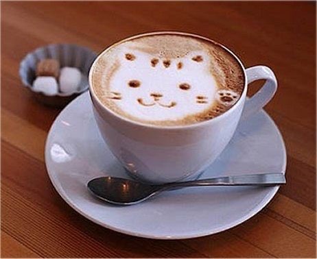 CharlotteKaye's tweet photo. Cat latte appreciation post https://t.co/IgMsDTPWwc