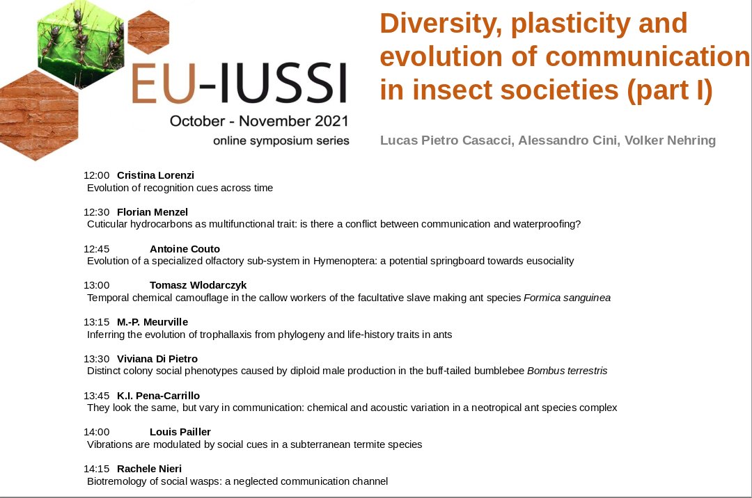 VolkerNehring's tweet photo. Join us for today's #IUSSI online symposium on Communication in Social Insects, starting 12:00 London time!

https://t.co/A8CbKFGqCr https://t.co/ulS6vl7sAN