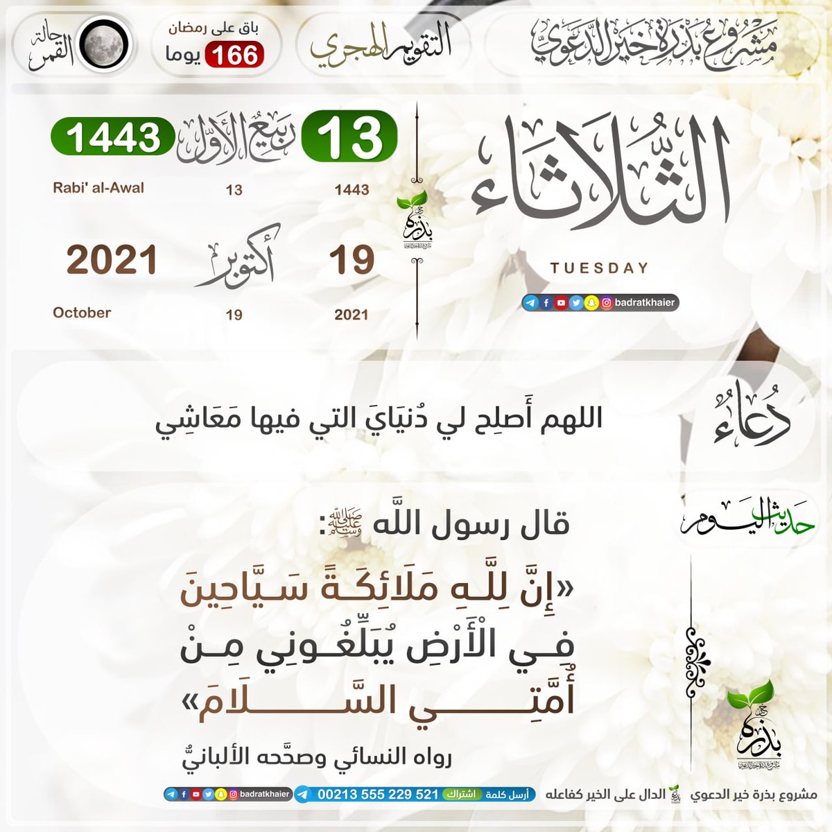 Sabah Ahmed (@sabahah11854954) on Twitter photo 