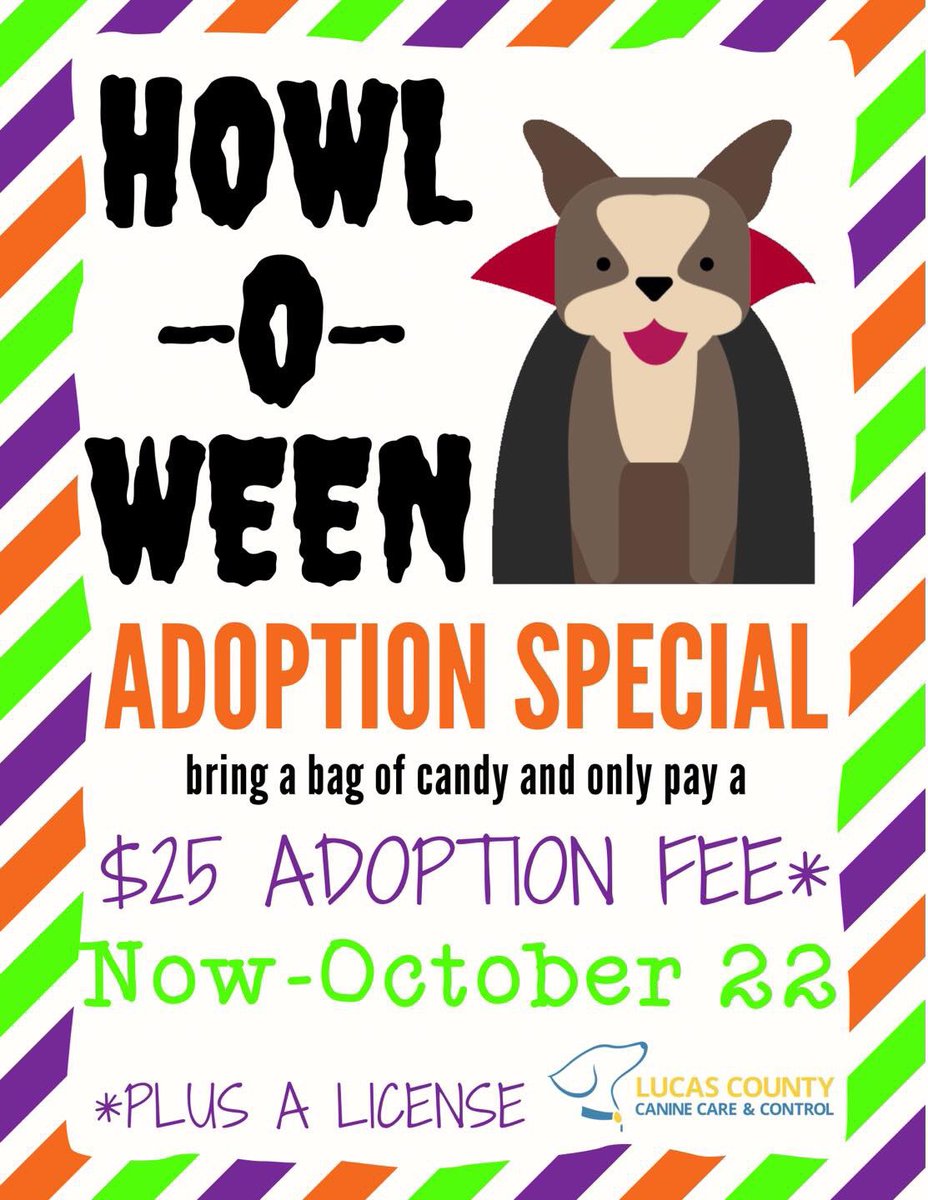 Spooky season more like adoption season!