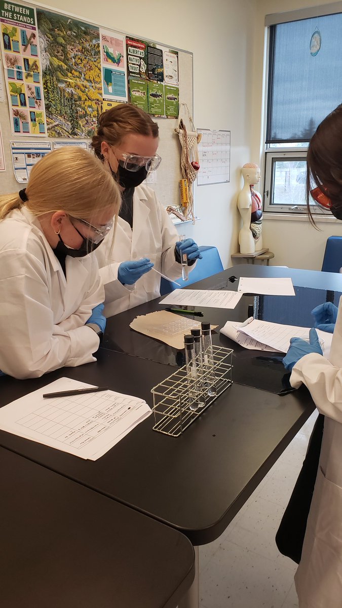 Amanda Millette (she/her) tweet media