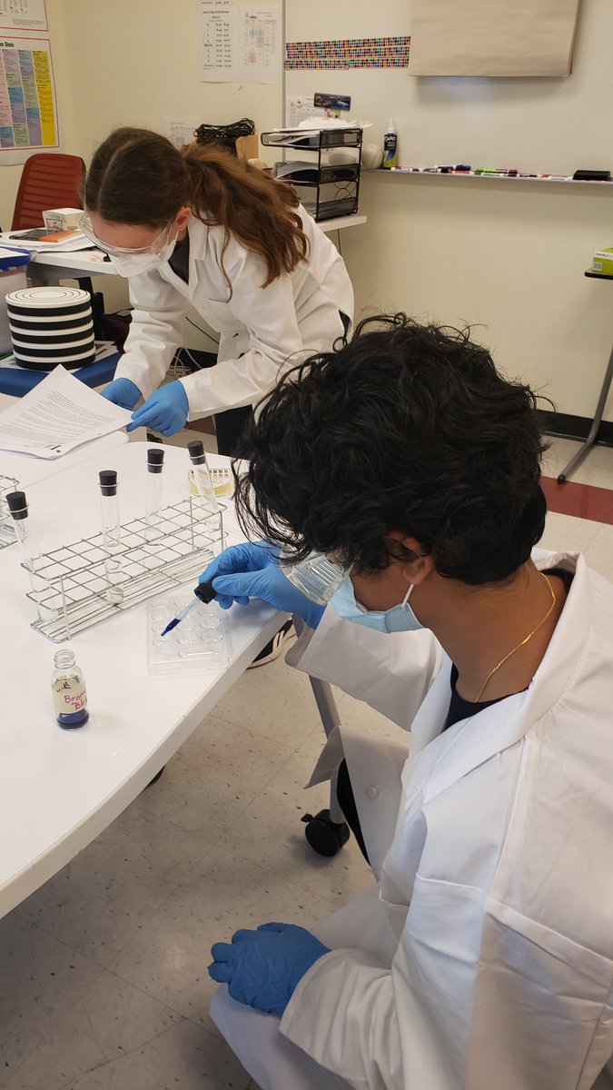 Gr. 8s working on their lab techniques by testing the quality of water #scienceiscool <a href="/mslisacorbett/">Lisa Corbett (she/her)</a> <a href="/RundleJrHigh/">Rundle College Jr. High</a>