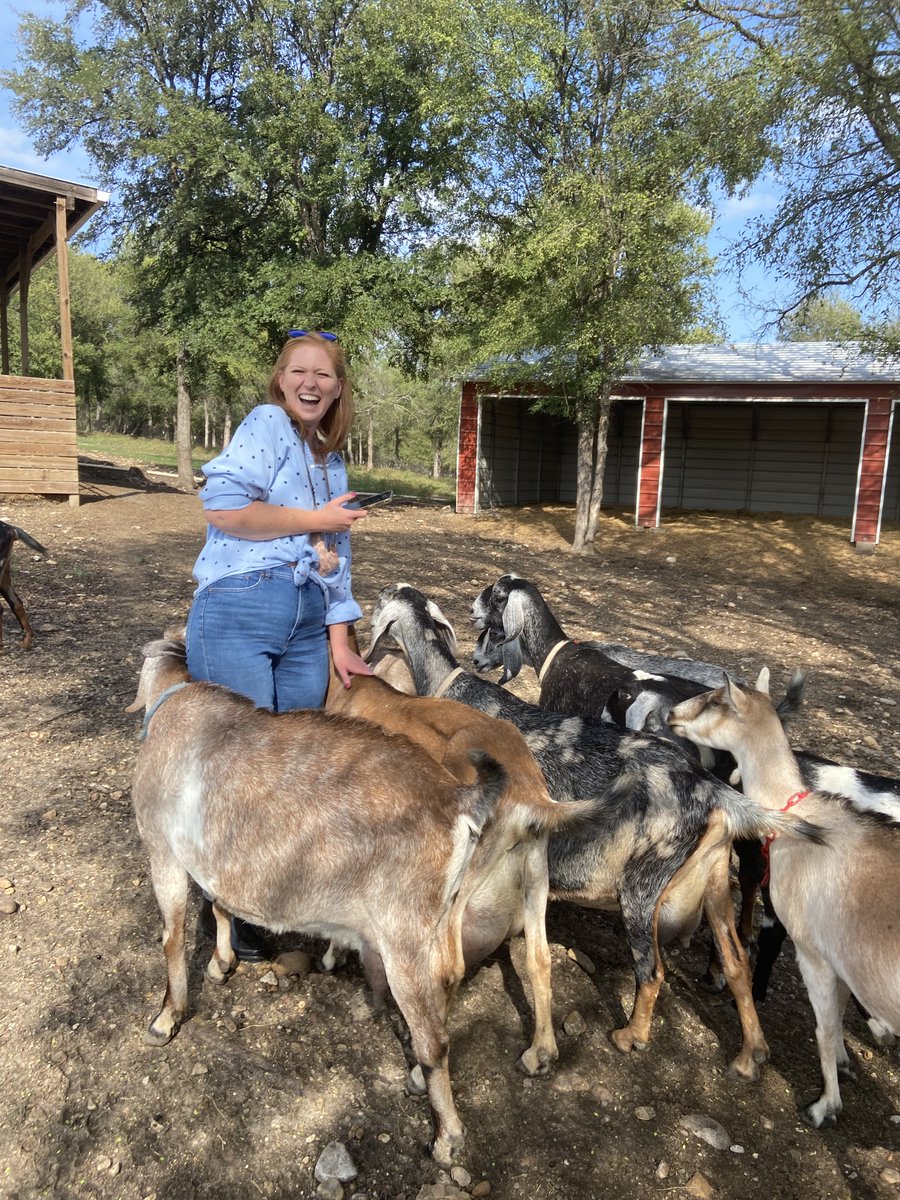 FleishmanTX's tweet photo. New friendships were made between Austin FHers and the cutest goats at Bee Tree Farm last Friday. Check out how FH celebrates fall! https://t.co/Qchi9kVS6U