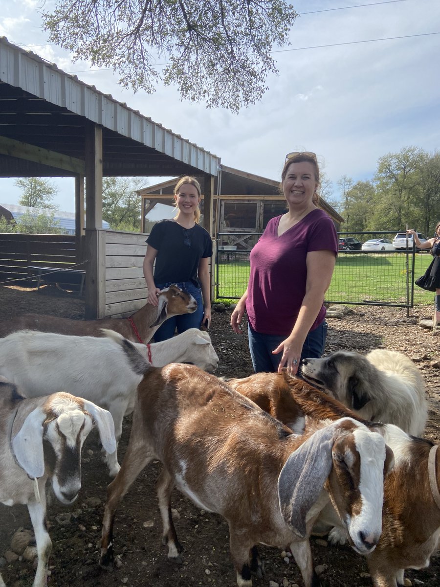 FleishmanTX's tweet photo. New friendships were made between Austin FHers and the cutest goats at Bee Tree Farm last Friday. Check out how FH celebrates fall! https://t.co/Qchi9kVS6U