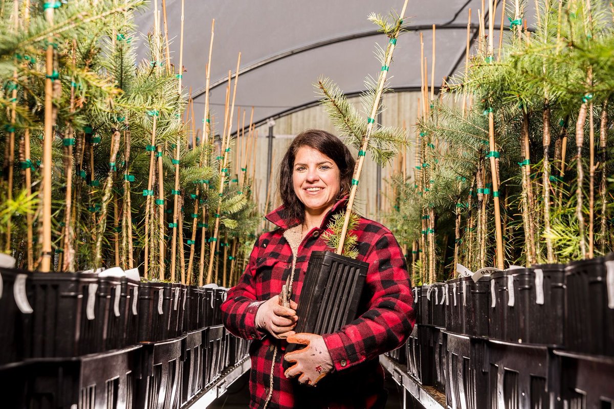 Roseburg tweet media