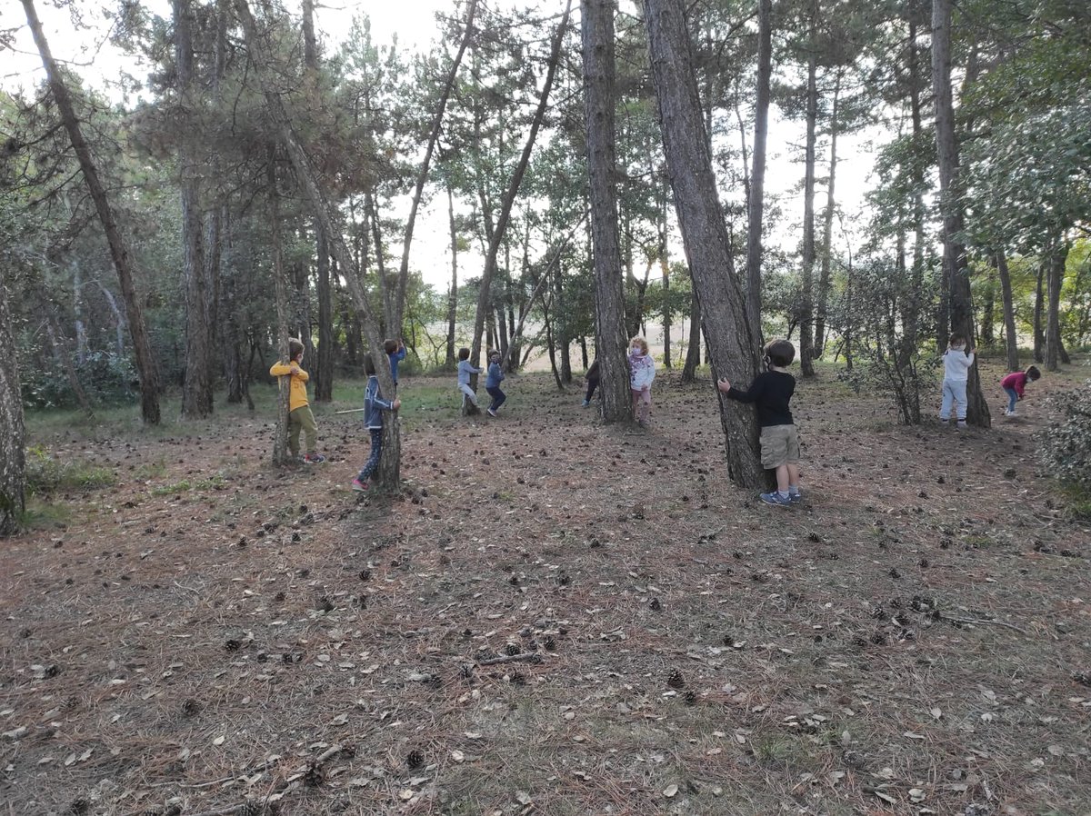 alacarral's tweet photo. Descobrint el bosc ...
#coloniesescolars #tardor #LesColòniesSónVitals #ViscaLesColònies #lleure #alacarral #LaCarral @escolalesbases https://t.co/TMCTeuM7eu