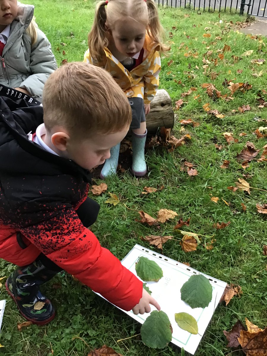 abermrsphillips's tweet photo. ...then we collected lots of different leaves which we sorted out according to their colour 🍁🍃🍂 @AberbargoedPS #amazingautumn #nurseryrocks https://t.co/DHVB7tprZD
