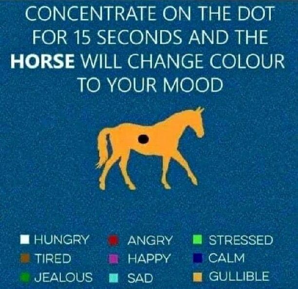 EllisLover's tweet photo. This really does work. https://t.co/hokJjxwZEa
