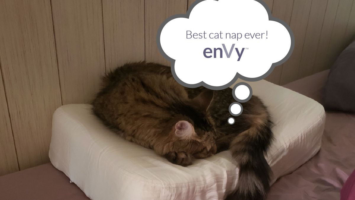 envy pillow promo code