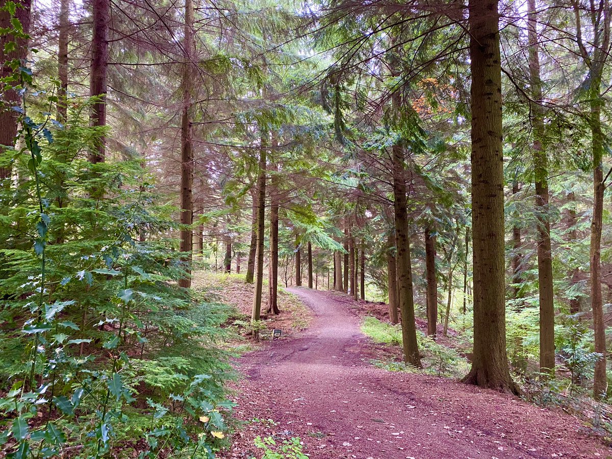 TreeGirlUK's tweet photo. Bodenham Arboretum on a lovely autumn day 💕🌲 https://t.co/QuByL9qUVo