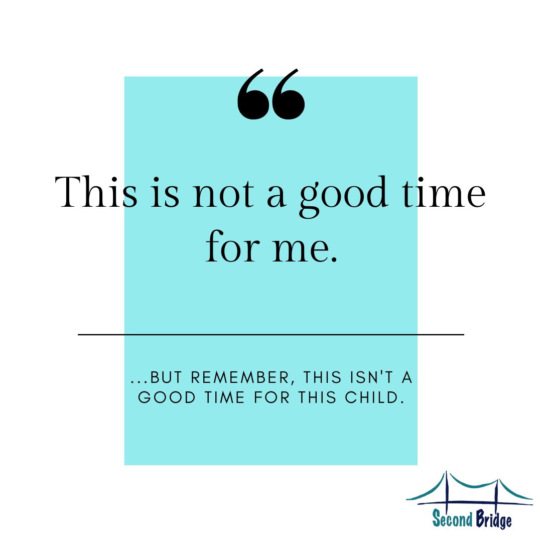 SecondBridge1's tweet image. #fostercare #fosterlove #secondbridge #wearethevillage #ittakesavillage #foster #volunteer #giveback