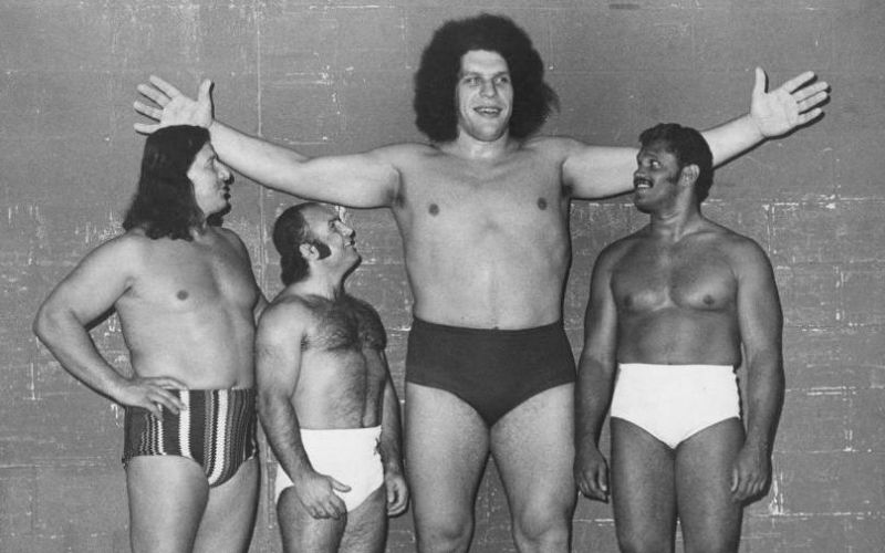 9. 2. Andre the Giant. 