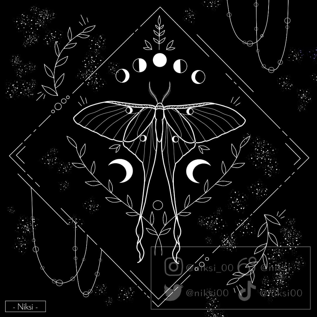 Niksi00's tweet photo. Moon Moths for Inktober 🦋🌙 #inktober2021 #moth #moon #digitalart #MondayMood #linert https://t.co/nyWk6IyAX2