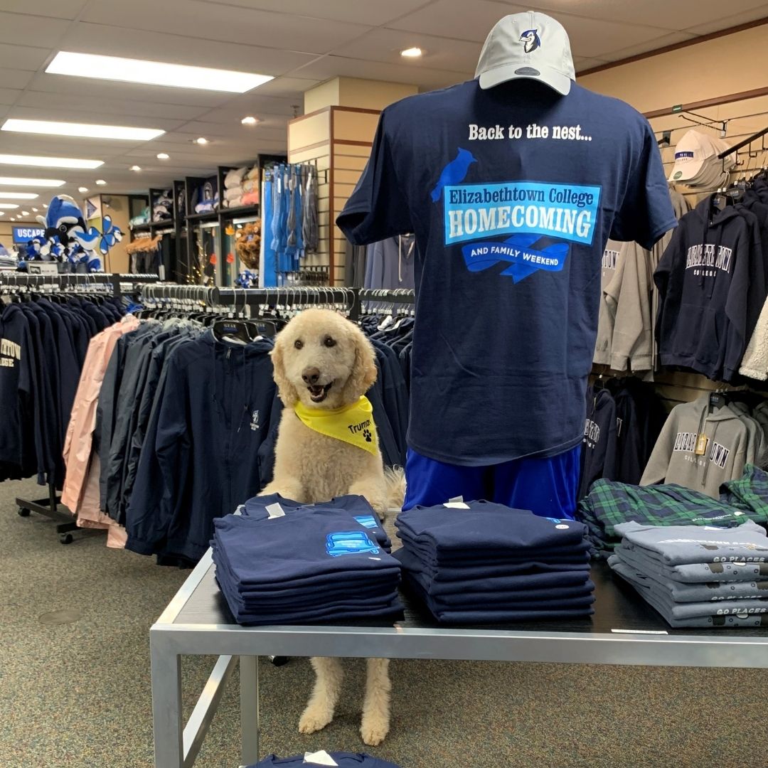 Did you get your Homecoming Tee???  Don't miss out - the 1st EVER Homecoming Tee will be available in the College Store and online @etowncollegestore.com until 10/22/21!!  Get one while you can!!! 
Only $22.99!!  Supplies are limited! #etownbookstore#etowncollege