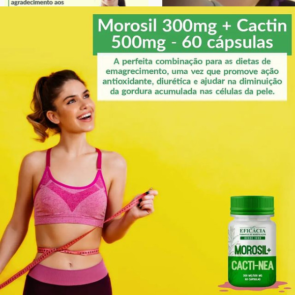 eficacia1990's tweet photo. Morosil e Cactin são inovações que possuem propriedades antioxidantes e diuréticas, realizam drenagem e a eliminam líquidos sem causar perda de minerais.
https://t.co/mBIYVvM6k5 https://t.co/DtnMIfgPTa